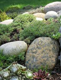 Moderne Gartengestaltung Mit Runden Steinen Und Grunen Pflanzen Gartengestaltung Garten Pflanzen