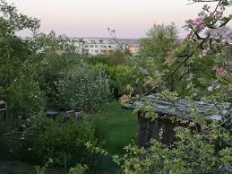 Featuring a terrace, allergy free rooms and complimentary parking, lindemann hotel can be found within 1.2 miles from the center of hildesheim. Archiv Grundstuck Zu Vermieten Landkreis Hildesheim Mapio Net