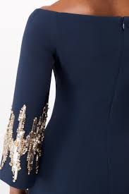 Image result for Asters `Jenny