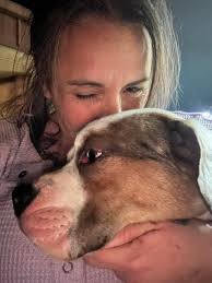 Has your missing pet been found?