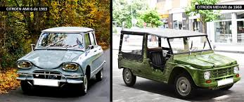 Image result for Noyer Americain 2011 Citroen