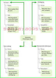 Tahukah anda jawaban yang benar? Buku Paket Mtk Kelas 8 Semester 2 Hal 113 Masnurul