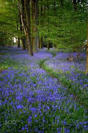 To Live A Life Alone With God Does Not Mean That We Live It Apart From Everyone Else The Connection Be Beautiful Nature Beautiful Gardens Beautiful Landscapes