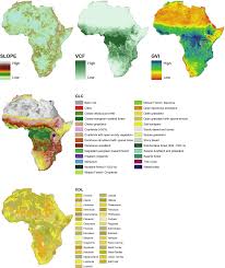 Image result for Eremospatha haullevilleana