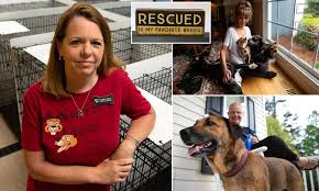 Larger animals may require higher doses of anesthesia. Animal Shelter Boss Begs Public To Foster As She Warns Pet Deaths Will Skyrocket During Coronavirus Daily Mail Online