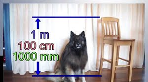 1.1 kilometers equal 0.6835083115 miles (1.1km = 0.6835083115mi). Definition Of Kilometre Kilometer