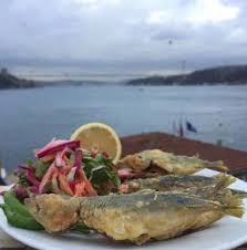 İşte size bir balık restoranı daha. Kandilli Suna Nin Yeri Kandilli Suna Nin Yeri Balik Kahvalti Menu Blog11