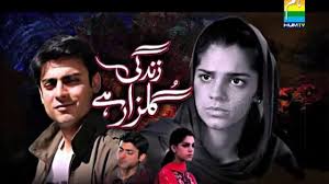 Image result for zindagi gulzar hai