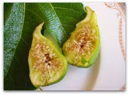 Maybe you would like to learn more about one of these? Peter S Honey Fig My New Favorite Tall Clover Farm