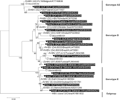 But the nature of homelessness describes historical attitudes toward homelessness as seen with the english poor laws of 1601 that looked at those worthy or unworthy. Epidemiological Serosurvey And Molecular Characterization Of Sexually Transmitted Infections Among 1890 Sheltered Homeless People In Marseille Cross Sectional One Day Surveys 2000 2015 Journal Of Infection