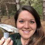 Foraging Instructors