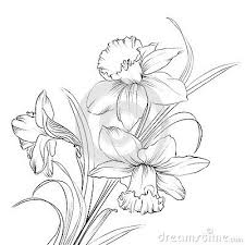 Pin By Amaro Sandoval Ortiz On Dessins In 2020 Flower Drawing Daffodil Tattoo Narcissus Flower Tattoos