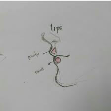 Cara Perfil Tutoriel De Dessin Dessin Dessin Visage