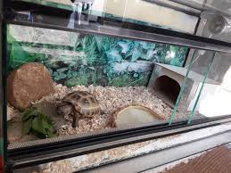 Die zugluft auf dem boden gar nicht gut tut. Hat Jemand Tipps Fur Schildkrotenhaltung Tiere Tierhaltung Reptilien