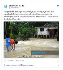 Penyakit leptospirosis yang disebabkan oleh kencing tikus telah merenggut 7 nyawa warga gresik. Risiko Dijangkiti Kencing Tikus Jika Main Air Banjir