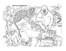 Maybe you would like to learn more about one of these? Malvorlagen Des Regenwaldes Malvorlagen Fur Kinder Ausmalbilder Regenwald Kostenlos Konabeun Ideen Regenwald Tiere Afrikanische Tiere Malbuch Vorlagen