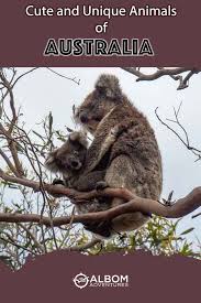 Australian Animals Unique Poisonous Or Adorable Australia Animals Australian Animals Cute Australian Animals