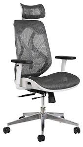 Starting a new office involves lots of stuff, one of the major things that you need to look for is office furniture. 9 Best Office Chairs To Buy Online In India 2021