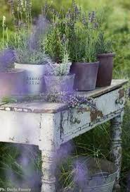 Lavendel Im Garten Garten Lavendel Garten Und Bepflanzung