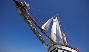 Hollandia synonyms, hollandia pronunciation, hollandia translation, english dictionary definition of hollandia. Segelschiff Mieten Hollandia Reederei Vooruit