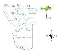 Image result for Baissea wulfhorstii