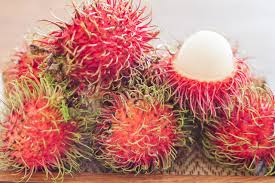 Painting and drawing for kids. Red Rambutans Fruit 1739922 Stock Photo At Vecteezy