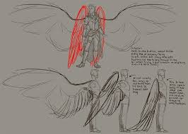 I actually drew wings that didnt look like poo =o. Angel Wing Anatomy Drawing Novocom Top