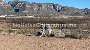 Las noticias con aimee o´farrill. Le Llaman A Madre Y Le Avisan Donde Dejaron Muerto A Su Hijo Noticias Chihuahua