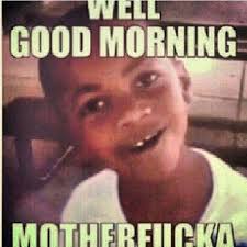 Birds Chirping In The Morning Meme Pinstagram Morning Humor Haha Funny Funny Pictures