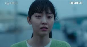 Soulmate (Korean Movie) - AsianWiki