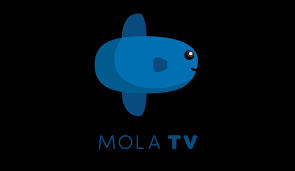 Dreamstar master iptv 449,00 tl. Gemar Nonton Bola Ini Cara Memasang Dan Berlangganan Mola Tv Di Indihome Gadgetren