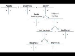Pin By Stacy Timm On Work Accounting Basics Accounting Education Accounting