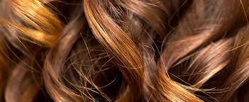 For many brands that strive to. Best Places For Hair Extensions In La Cbs Los Angeles
