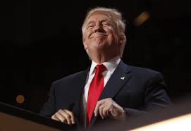 Karen watson is an american, an author of three books: Donald Trump Is Officially A Winner But He Ll Need To Be A Unifier To Become President Cbc News