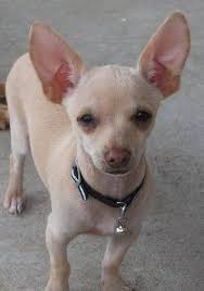 Janie Bennett, Bastrop, Louis... Read Reviews