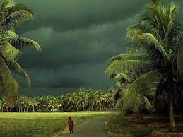 Its The Rainy Season Full Of Love Kerala Monsoon Amazing India
