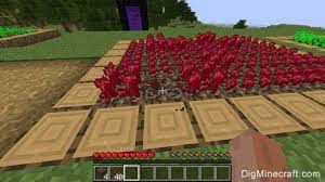 Nether wart farming in minecraft how to grow nether wart. How To Make A Nether Wart Farm In Minecraft
