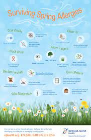 Surviving Spring Allergies Infographic