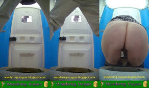 New Bio Toilet 2022 (397-406) - Wandering Voyeur Videos