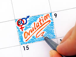 Elle n'offre en aucun cas de garantie. Ovulation 4 Signes Qui Prouvent Que Vous Etes Dans La Bonne Periode Pour Tomber Enceinte Femme Actuelle Le Mag