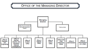 Organizational Structure