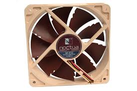 The p12 is normally protected with a password and is not shared. Noctua Nf P12 1300 120x120x25mm Ventilyatory Osevye Vozdushnoe Ohlazhdenie Aquatuning Russia