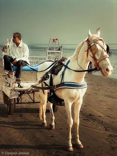 Versova Beach 🏝️ Mumbai