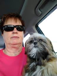 Chicken and goat riding partners for life