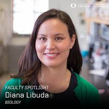 Meet Professor Diana Libuda, who has taught in the biology department at  the University of Oregon for nearly a decade. Her passion for teaching and  mentoring inspires students to think beyond the
