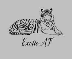 Download Exotic Af Tiger Svg Png Dxf Eps Jpg Download Files For Cricut Silhouette Plus Resource For Print On Demand