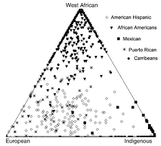 skin color is not race discover magazine