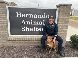 Y'all, check out our sweet June bug. She's a sweet pup that loves all she  meets. She's looking good with Officer Daly here hoping to find her forever  home for Christmas. She