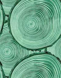 Green Wallpaper Designs Aesthetic Light Green Dark Green Lime Green Wallpaper More Wallshoppe Wallshoppe Explore and share popular wallpapers on wallpapersafari.