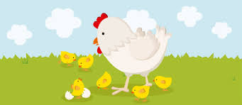 Que Le Pasa A La Gallina Mundo Primaria